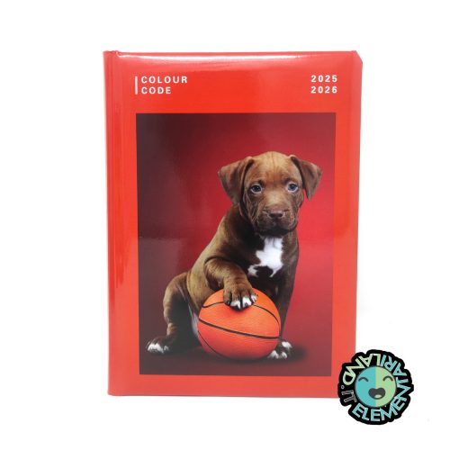 diario scuola cane basket