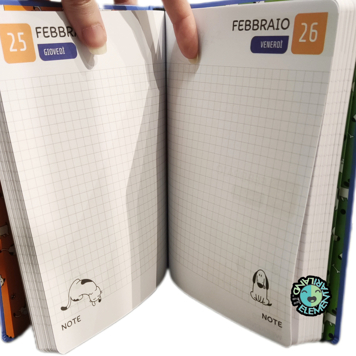Diario Scuola Elementare DATATO 2026-2027 ANIMALI Gattino Azzurro - immagine 3